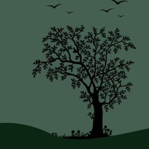 在线视频97人人
