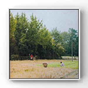 在线视频97人人
